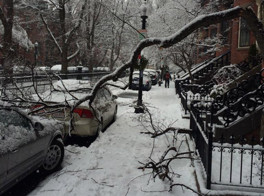 Branch down in the South End