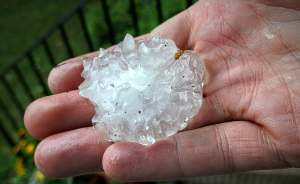 Large hailstone in Jamaica Plain
