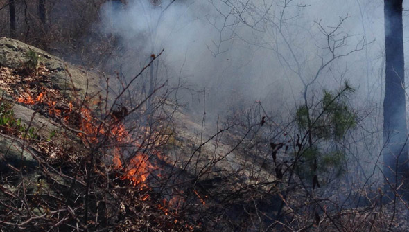 Fire in Middlesex Fells