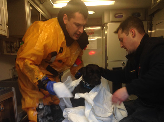 Firefighters warm up frozen dog in Arlington