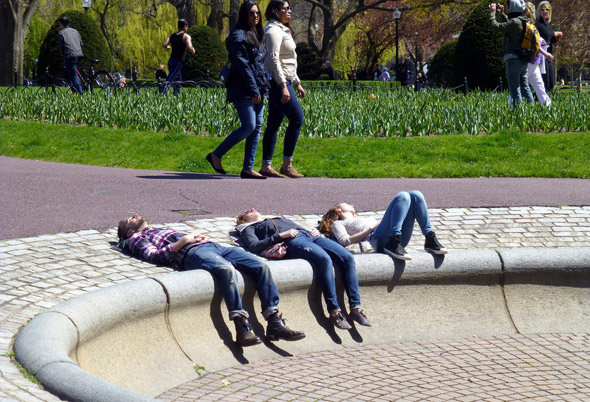 Three happy snoozers in Boston's Public Garden