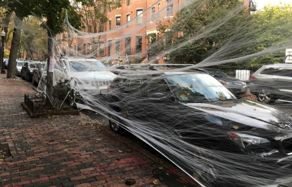 Giant spider webs on Waltham Street in Boston's South End