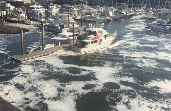 Foam in Boston Harbor at Charlestown