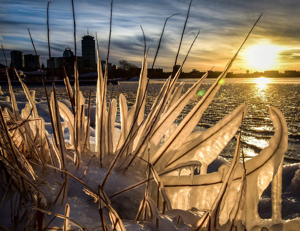 Frozen on the Charles River Esplanade