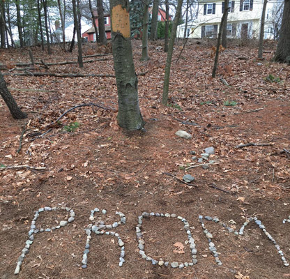 Prom proposal in Allandale Woods