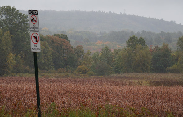 Neponset River marshes along the Hyde Park and Milton border