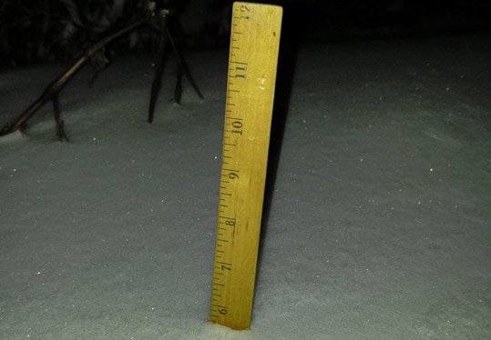 Roslindale snow measurement