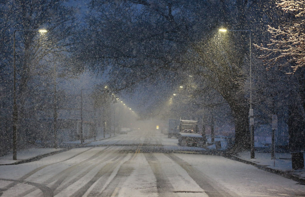Snow on Talbot Avenue
