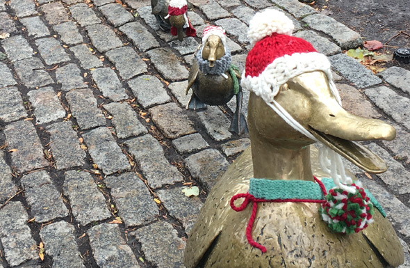 Mrs. Mallard in her Christmas finest in the Public Garden