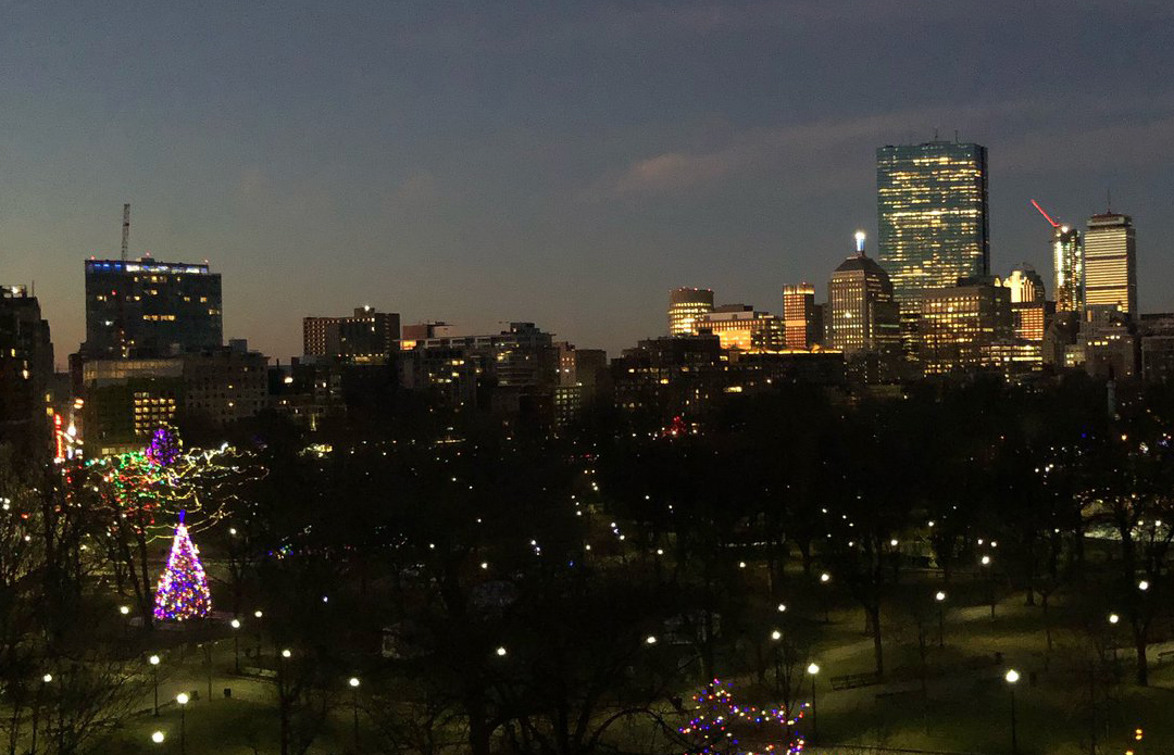 Boston Common Christmas tree and the towers of Back Bay