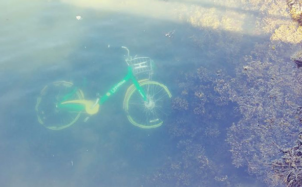 Rental bike in the water off East Boston