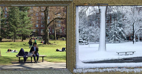 Public Garden today and a month ago in the snow