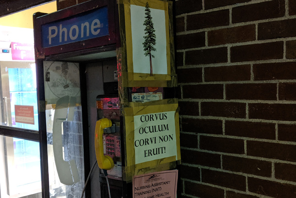 Phone booth and Latin saying outside Shaw's in Hyde Park