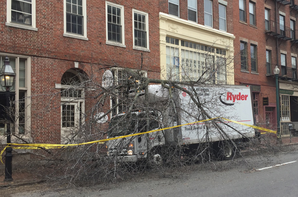 Tree destroyed by truck on Charles Street on Beacon Hill