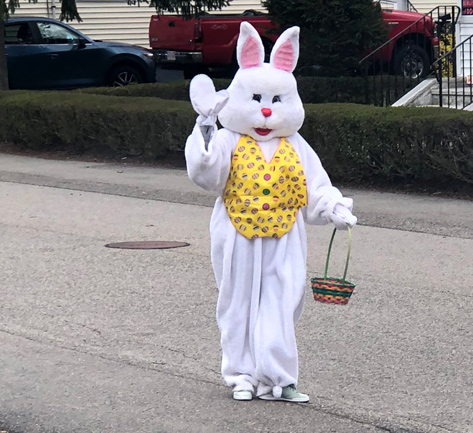 Easter Bunny in Dedham