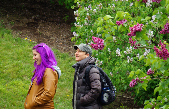 Woman with lilac hair on Lilac Saturday at the Arboretum