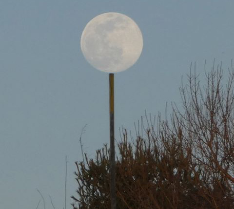 Full moon over Millennium Park