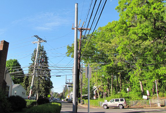 New telephone poles in Hyde Park