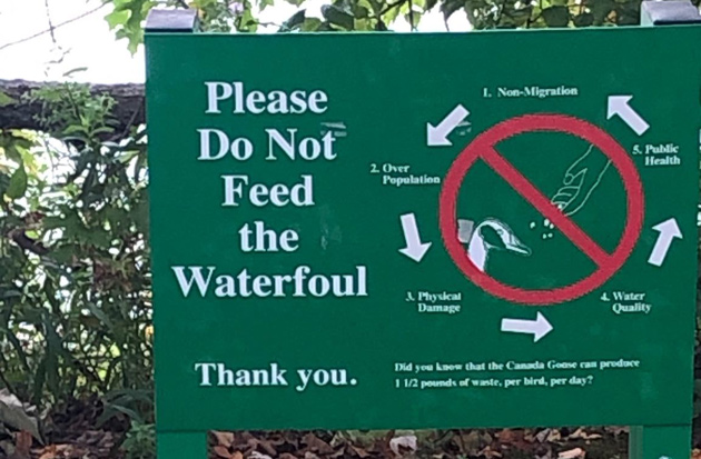 Don't feed the waterfoul, sign says