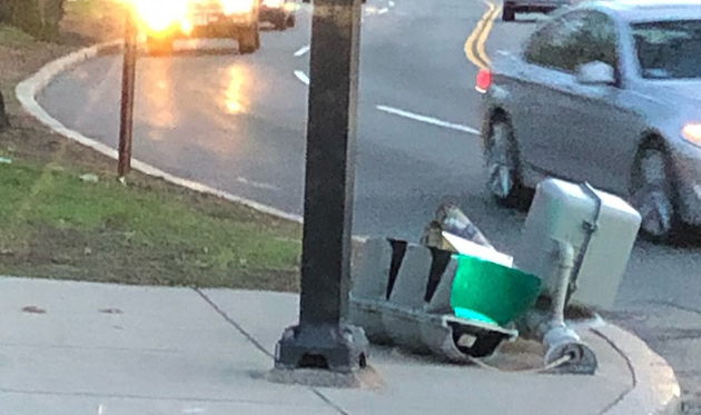 Downed traffic light on the Jamaicaway