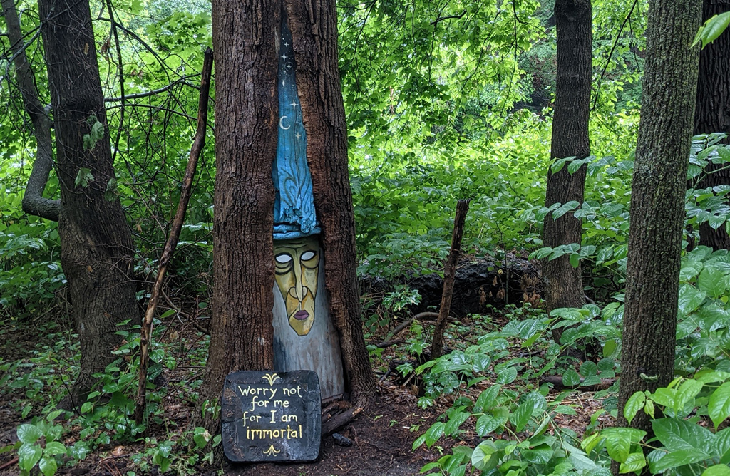 Tree wizard of Franklin Park
