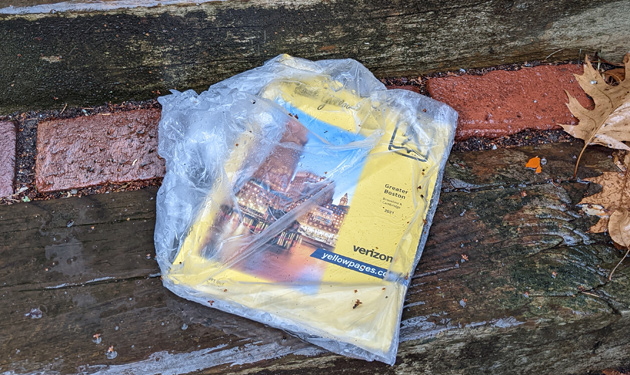 Yellow Pages on our steps