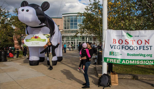 Giant inflatable cow outside Reggie Lewis Center