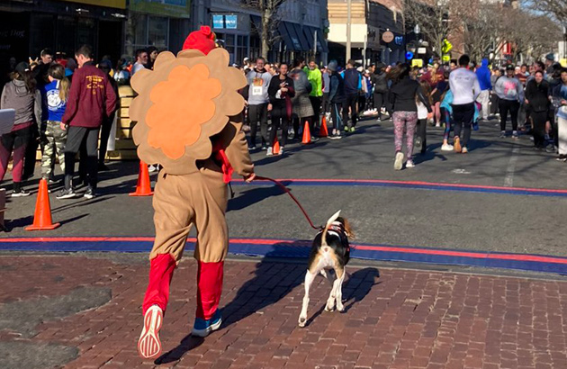 Man dressed as a turkey in Somerville race