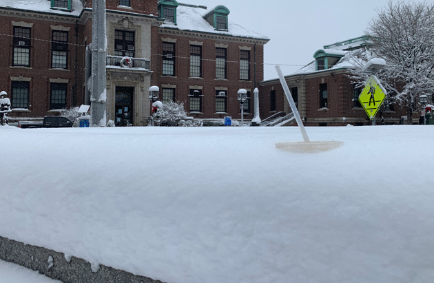 Large Dunkin' iced coffee in the snow