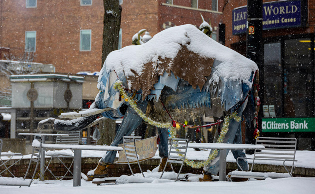 Harvard Square mammoth