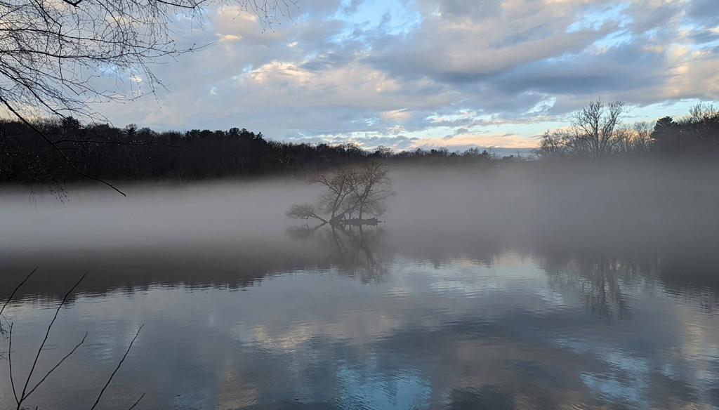 Fog at Jamaica Pond this morning