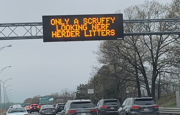 May 4th message on Mass. roads: Scruffy nerd herders stop littering