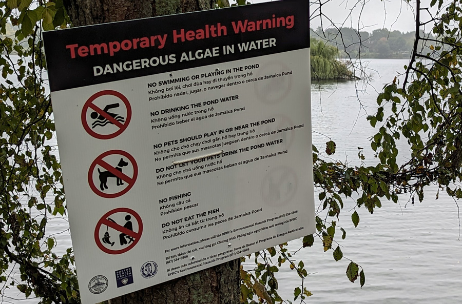 Sign at Jamaica Pond warning people not to drink or go in the water
