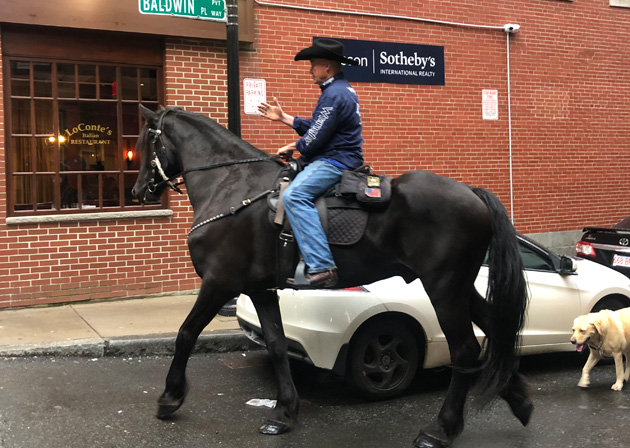Guy riding a horse through the North End