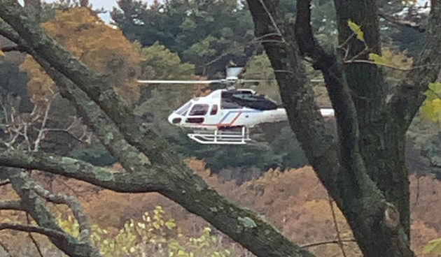 Helicopter seen through the trees