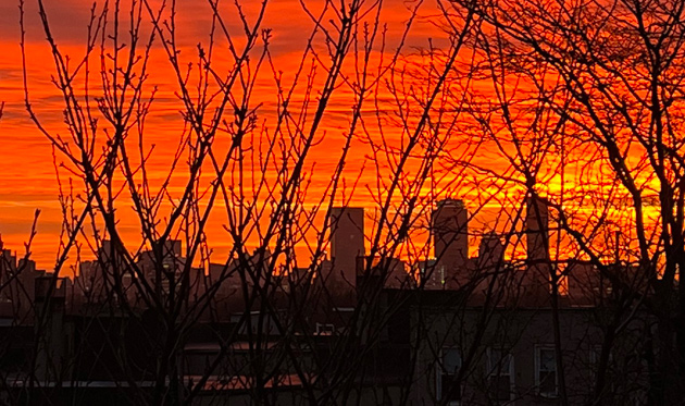Boston skyline at dawn