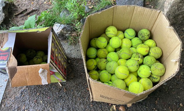 Lots of used tennis balls