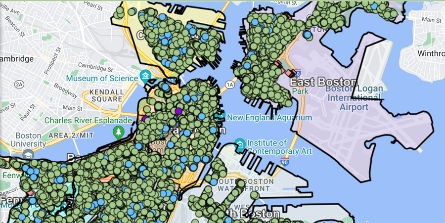 Boston tree map