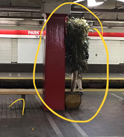 Potted plant in Park Street station on the Red Line