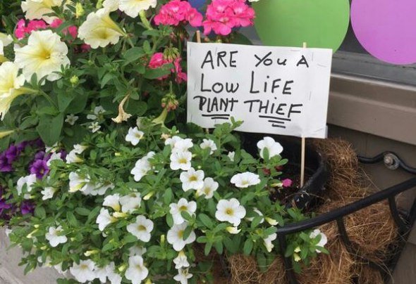 Sign at florist in Somerville