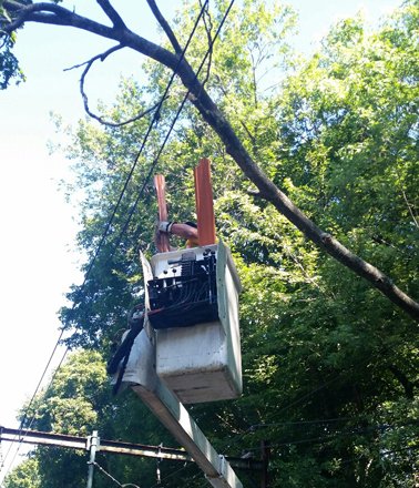 Removing the branch on an overhead wire on the Green Line.