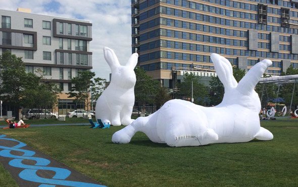Giant rabbits on the Lawn at D