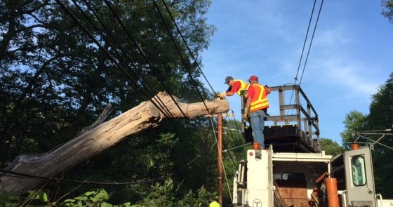 Removing the tree that fell on Green Line wires