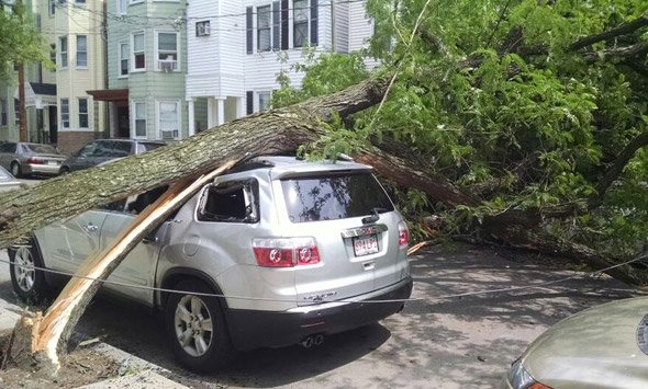 Tree falls on an SUV on Trenton Street in East Boston