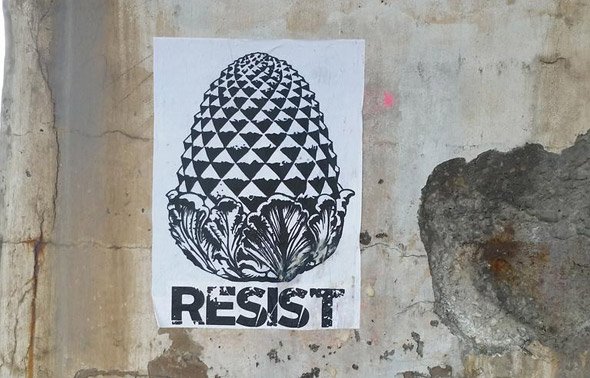 Pineapple resistance