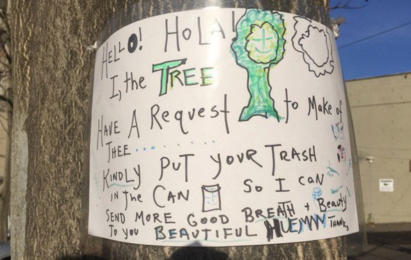Tree asks people to stop putting trash around it at the base of  Mission Hill