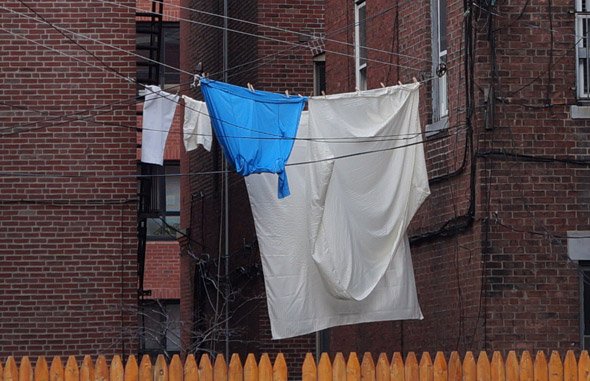 Clothesline in use in the North End