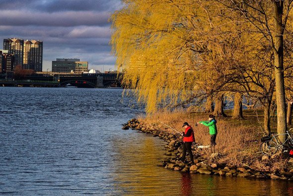 Fishing in the Charles River