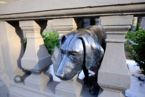 Dog statue in the Back Bay