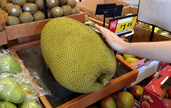 Jackfruit in a Roslindale supermarket